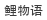 鲤物语